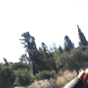 Meet your Posher, Devika